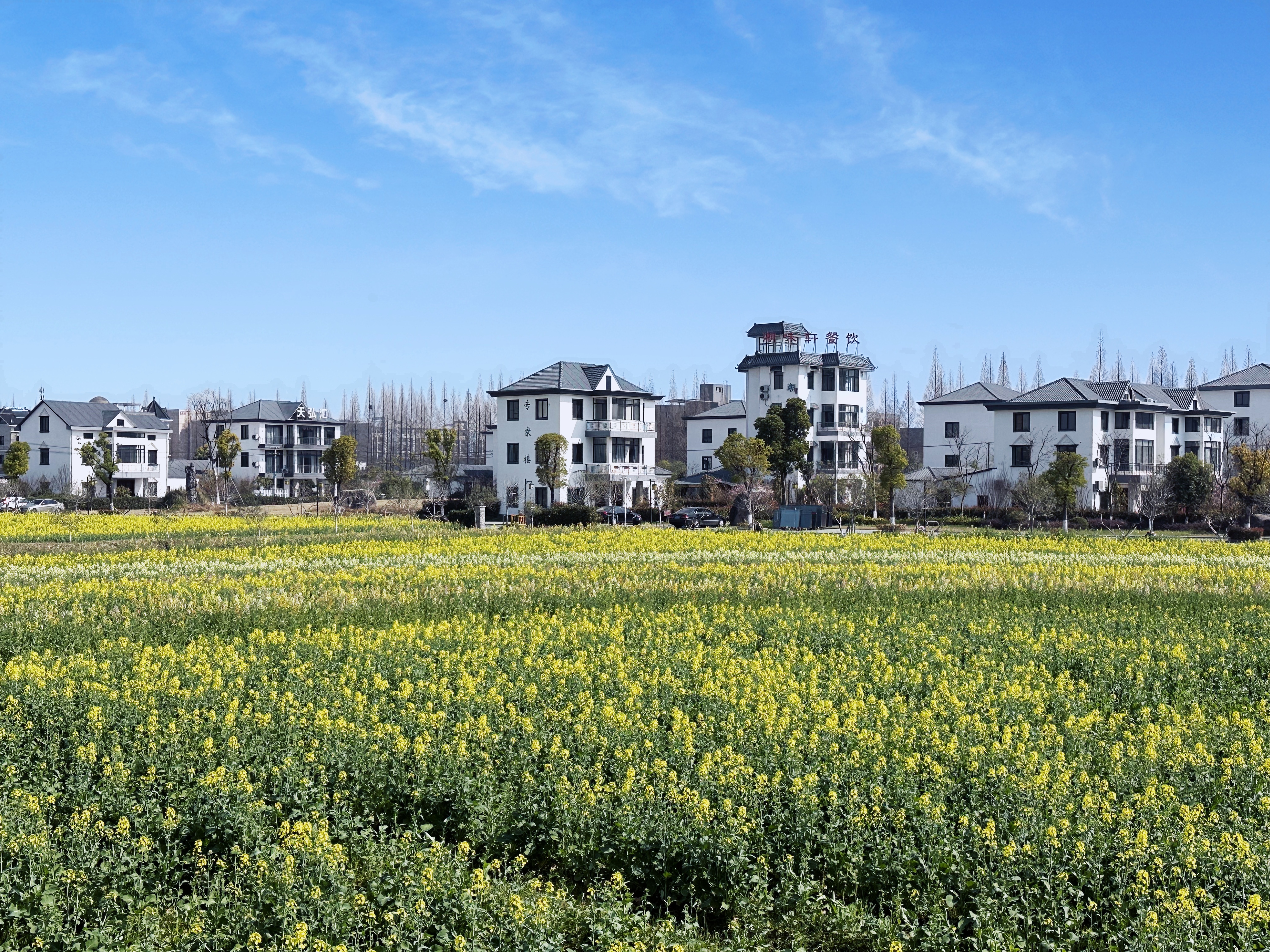 杭州市钱塘区河庄街道江东村未来乡村建设规划设计-浙江农林大学园林设计院 | 首页